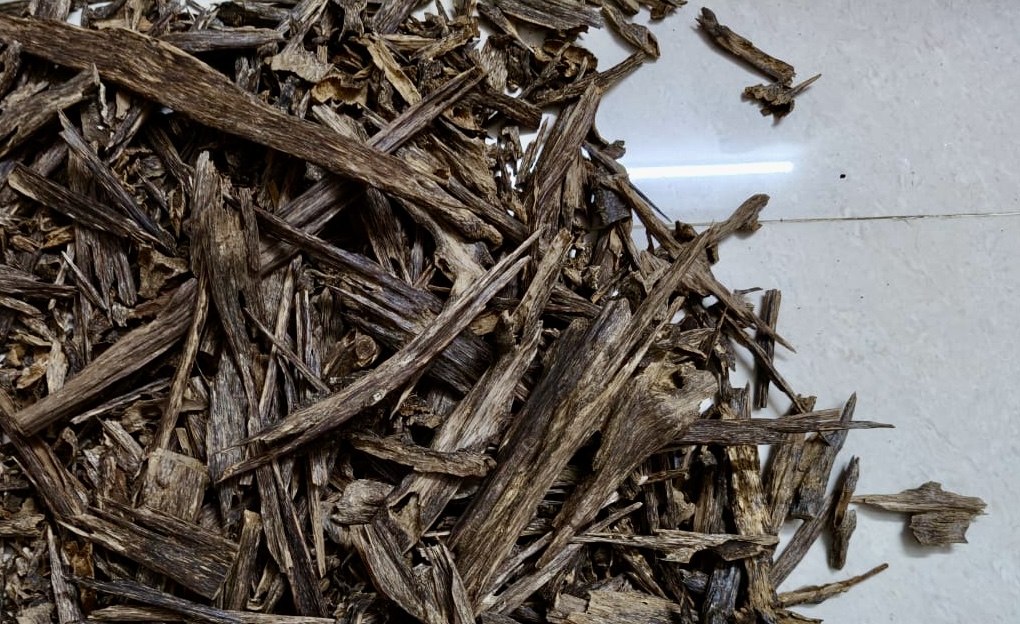 What Is Agarwood, and Why Is It So Expensive?